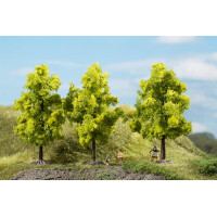 Auhagen 70937 3 Laubbäume, hellgrün, 11 cm, N - H0