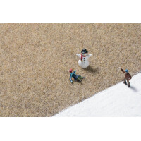 Auhagen 75609 Grass fibres winter grass 2.5 mm