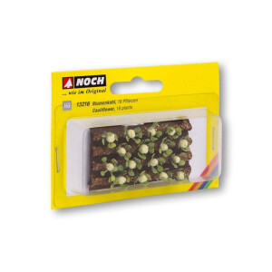 Noch 13216 Blumenkohl, H0
