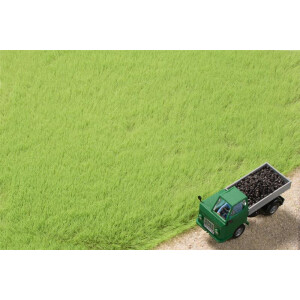Auhagen 75613 Grasfasern hellgrün, 4,5 mm, 50 g
