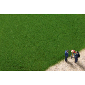 Auhagen 75615 Grasfasern dunkelgrün, 4,5 mm, 50 g