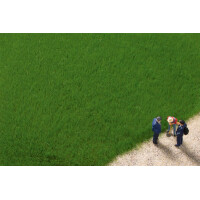 Auhagen 75615 Grasfasern dunkelgrün, 4,5 mm, 50 g