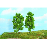 Heki 19103 2 beech trees, 18 cm