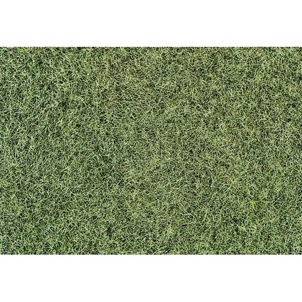 Heki 33540 Wintergras, 75 g, 6 mm