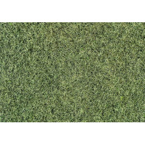 Heki 33540 Wintergras, 75 g, 6 mm