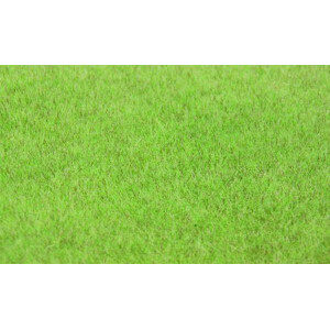 Heki 33541 Steppengras hell, 75 g, 6 mm