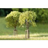 Auhagen 70950 Young trees, 10 pieces, N - H0