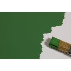 Auhagen 78103 Modellbaufarbe grasgrün, 100 ml