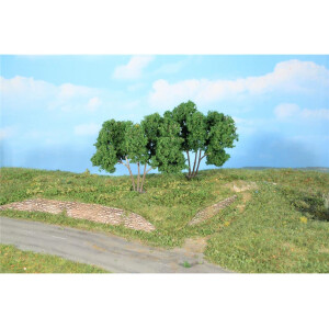 Heki 19113 2 Hainbuchen, 9 cm, TT - H0