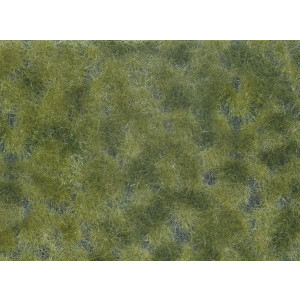 Noch 07250 Bodendecker-Foliage, mittelgrün, 12 x 18 cm