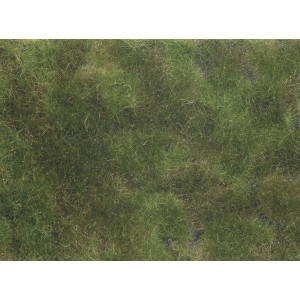 Noch 07251 Bodendecker-Foliage, olivgrün, 12 x 18 cm
