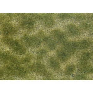 Noch 07253 Bodendecker-Foliage, grün/beige, 12 x 18 cm