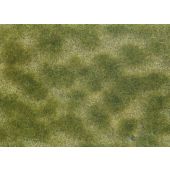 Noch 07253 Bodendecker-Foliage, grün/beige, 12 x 18 cm