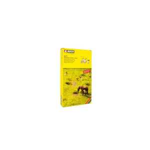 Noch 60771 Vegetations-Startset "Wiese"