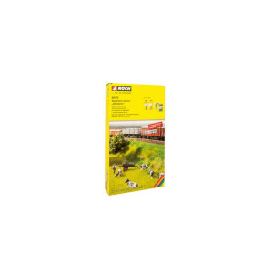 Noch 60775 Vegetations-Startset "Bahndamm"