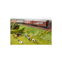 Noch 60775 Vegetations-Startset "Bahndamm"