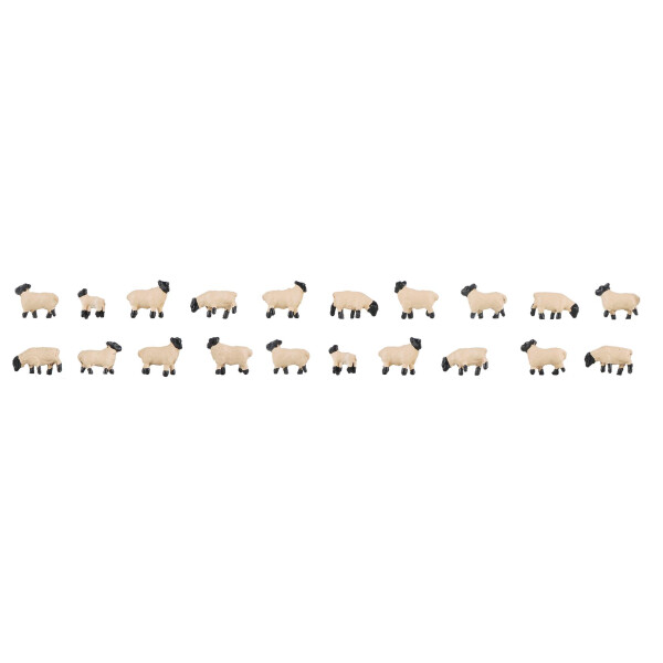 Faller 155906 20 Black-headed sheep, N