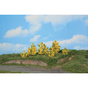 Heki 11800 6 Forsythiensträucher, 3 - 6 cm, N - H0