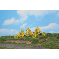 Heki 11800 6 Forsythiensträucher, 3 - 6 cm, N - H0