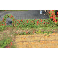 Heki 11811 2 flexible Rosenhecken 14 x 7 mm, je 50 cm lang, N - H0