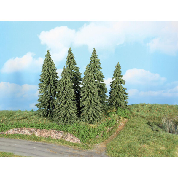 Heki 21801 6 Wetterfichten, 14 - 18 cm, TT - H0
