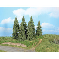 Heki 21801 6 Wetterfichten, 14 - 18 cm, TT - H0