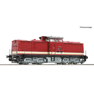 Roco 7380029 Diesellokomotive 110 613-7, DR, Epoche IV, TT