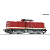 Roco 7380029 Diesellokomotive 110 613-7, DR, Epoche IV, TT