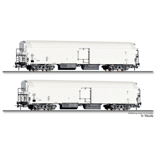 Tillig 95291 Rail cleaning wagon of the DR, epoch III, TT