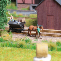 Busch 12456 Action Set: Pferdebahn, H0