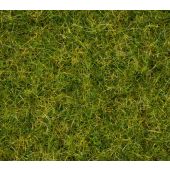 Noch 07072 Grasmischung Sommerwiese, 2,5 - 6 mm, 50 g