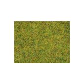 Noch 50190 Scatter Grass Summer Meadow, 100 g