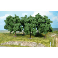 Heki 1366 24 big fruit trees, 12 cm, N-H0