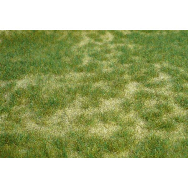 Heki 1842 Wild grass - summer meadow
