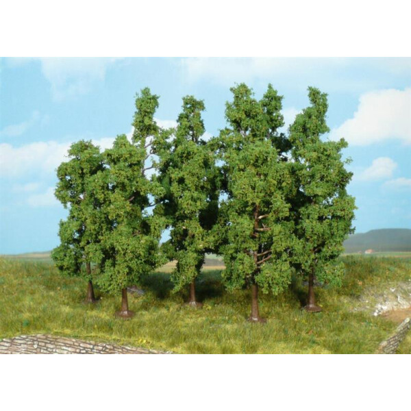 Heki 1925 10 beech trees, 11-13 cm, N-H0