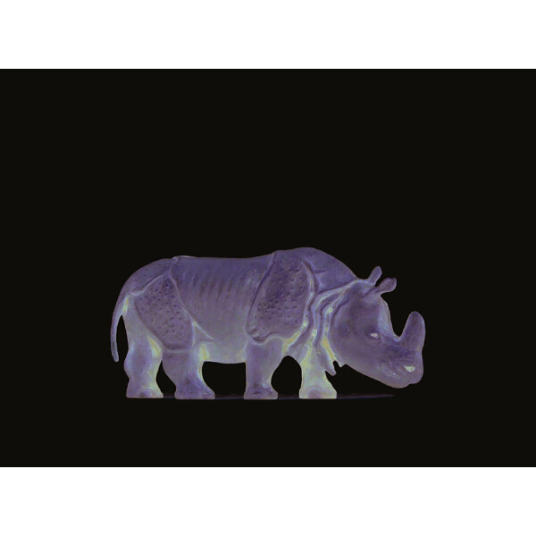 Preiser 29502 Indisches Panzernashorn, H0