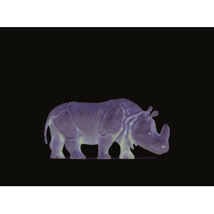Preiser 29502 Indisches Panzernashorn, H0