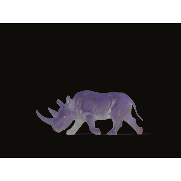 Preiser 29522 Afrikanisches Nashorn, H0