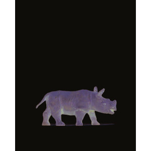 Preiser 29523 Junges Afrikanisches Nashorn, H0