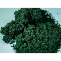 Auhagen 76982 Moosschaum, dunkelgrün, fein, 1000 ml